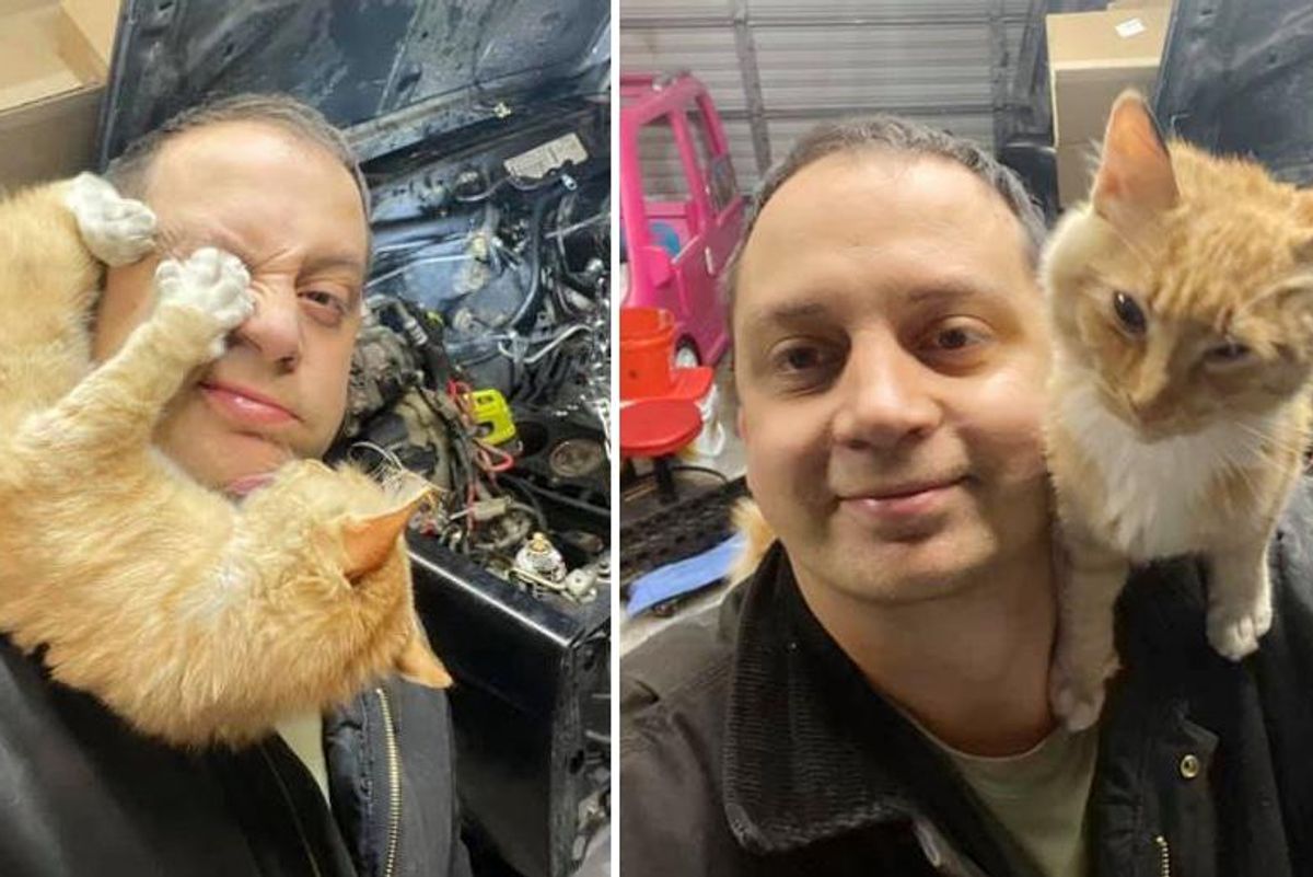 Unexpected Garage Cat Visit Leads to Heartwarming Adoption Story