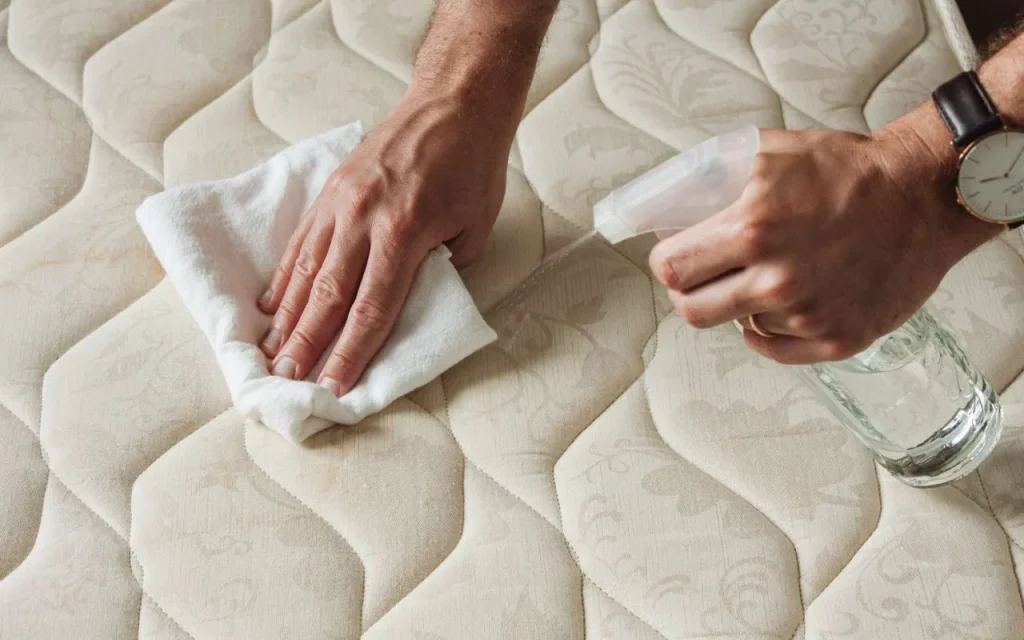 Cleaning cat urine from sheets with enzyme cleaner
