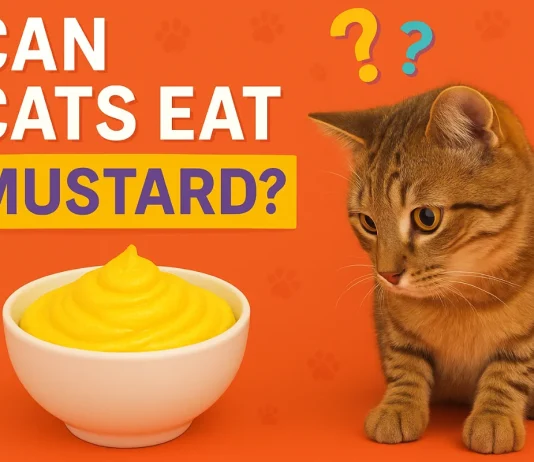 Is Mustard Safe for Cats? Vet-Reviewed Dangers & Safety Guidelines