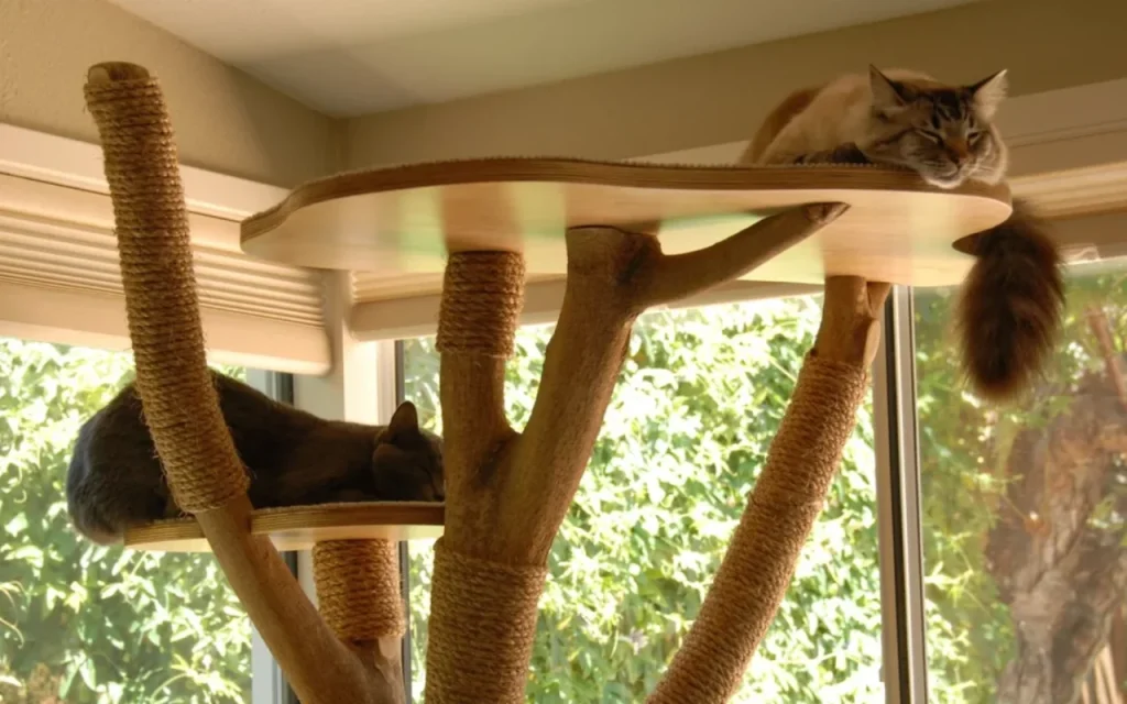 Two cats relax on a multi-tiered, wooden cat tree